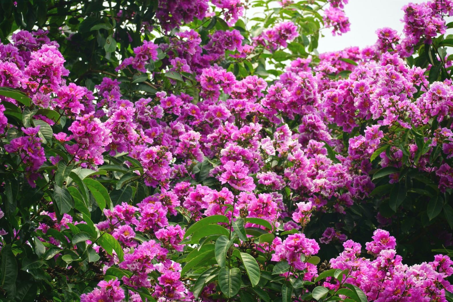 Marcus Thorne, Senior Floral Designer working on custom arrangement